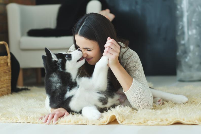 Beneficios de salir con alguien que ama a los perros